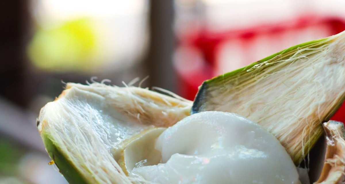 यहाँ 5 कारण बताए गए हैं कि आपको इस गर्मी में नारियल मलाई क्यों खानी चाहिए |  द टाइम्स ऑफ़ इण्डिया
