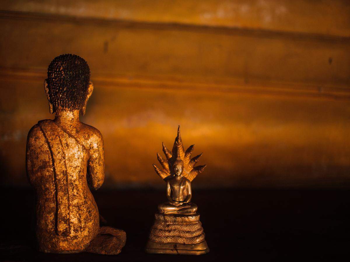  घर में बुद्ध की मूर्ति रखने के लिए 7 वास्तु अनुशंसित स्थान |  द टाइम्स ऑफ़ इण्डिया
