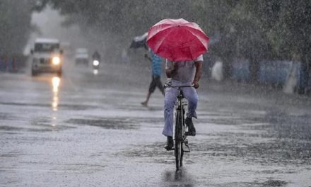 भारत में इस मानसून सीजन में अब तक 37% अधिक बारिश हुई, IMD का कहना है