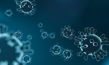 विशिष्ट एंटीबॉडी कई प्रकार के कोरोनावायरस के खिलाफ प्रभावी हो सकते हैं |  चिकित्सा समाचार बुलेटिन