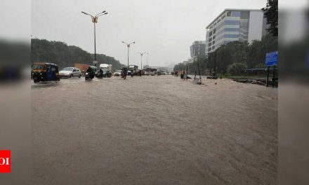 मुंबई में बारिश: अधिकतम शहर में भारी बारिश जारी;  लोकल ट्रेनें देरी से चल रही हैं |  मुंबई समाचार – टाइम्स ऑफ इंडिया