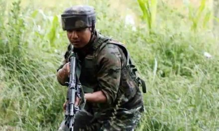 Top LeT commander among three terrorists killed in Pulwama encounter