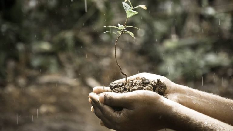 हल्दी से मेथी: मानसून के मौसम में खाने के लिए शीर्ष दस खाद्य पदार्थ