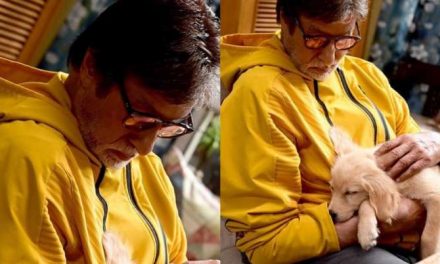 अलविदा: अमिताभ बच्चन ने सेट पर अपने नए साथी को गले लगाते हुए मनमोहक तस्वीरें शेयर की