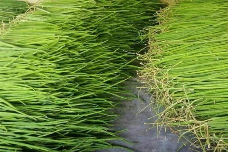 ₹10 लाख की कमाई, ये काम, हर करेंगे ₹2 लाख से अधिक कमाएँ, जानें.