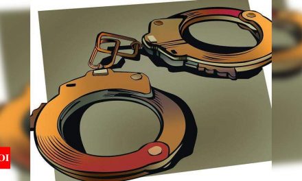 मुंबई: सोने की तस्करी की कोशिश के आरोप में तीन केन्याई महिलाएं गिरफ्तार |  मुंबई समाचार – टाइम्स ऑफ इंडिया