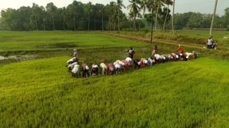 PM-KISAN 9वीं किस्त जारी: क्या कोई शिकायत है?  जानिए अपनी शिकायतें कहां और कैसे दर्ज करें