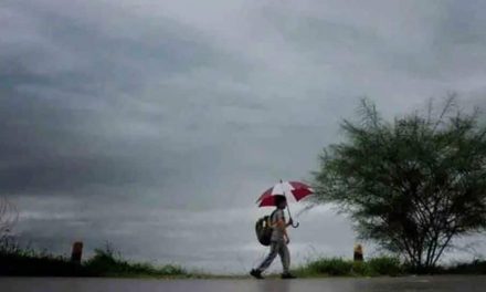 आईएमडी ने मध्य प्रदेश और केरल में भारी बारिश की भविष्यवाणी की, अलर्ट जारी किया