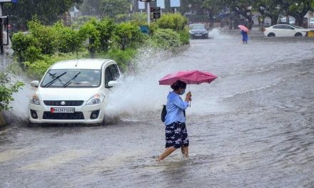 बंगाल की खाड़ी में कम दबाव के क्षेत्र से महाराष्ट्र में बारिश की संभावना: IMD