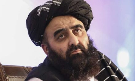 ‘Won’t allow militants to use Afghan territory to attack others’: Taliban govt’s foreign minister