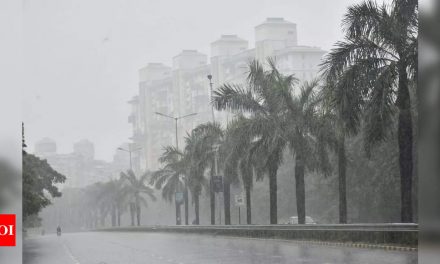 आईएमडी ने मुंबई, ठाणे और पालघर के लिए येलो अलर्ट जारी किया;  8 सितंबर तक भारी बारिश की भविष्यवाणी |  मुंबई समाचार – टाइम्स ऑफ इंडिया