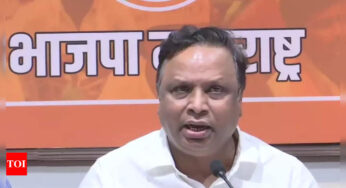 मुंबई: बीजेपी विधायक आशीष शेलार ने बीएमसी द्वारा गड्ढों को भरने के लिए आवंटित राशि में घोटाले का दावा किया | मुंबई समाचार – टाइम्स ऑफ इंडिया
