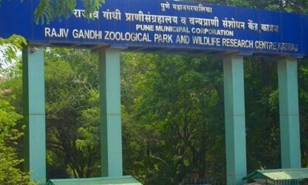 असम टाइगर रिजर्व से राजीव गांधी का नाम हटाएगा, इसका नाम बदलकर ओरंग नेशनल पार्क रखा जाएगा