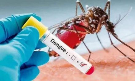 किलर डेंगू स्ट्रेन का रहस्य सुलझ गया!  यूपी में डी2 स्ट्रेन से सबसे ज्यादा मौतें