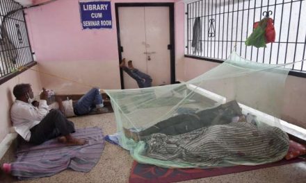 फिरोजाबाद डेंगू का प्रकोप: मरने वालों की संख्या 51 तक पहुंची, मध्य और यूपी के अधिकारियों ने स्थिति की समीक्षा की