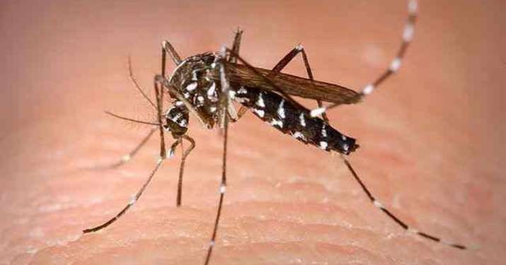 उत्तर प्रदेश: फिरोजाबाद में डेंगू, वायरल फीवर के 105 नए मामले