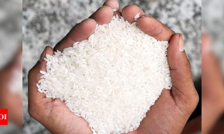 पालघर के प्रसिद्ध वाडा कोलम चावल को जीआई टैग मिला |  मुंबई समाचार – टाइम्स ऑफ इंडिया