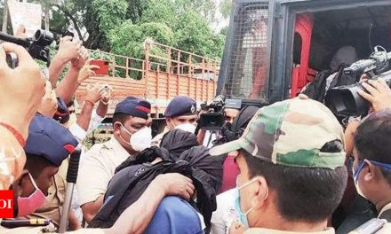 डोंबिवली रेप केस: 22 आरोपियों को न्यायिक हिरासत में भेजा गया |  ठाणे समाचार – टाइम्स ऑफ इंडिया