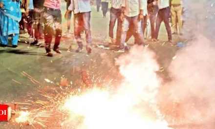 मुंबई: 30 पटाखों का परीक्षण किया गया, 2 ने निर्धारित शोर सीमा को पार किया |  मुंबई समाचार – टाइम्स ऑफ इंडिया