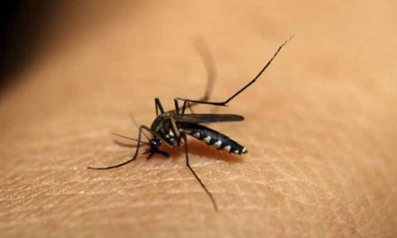 लंबे समय तक मॉनसून की अवधि के कारण दिल्ली में डेंगू के मामलों में भारी उछाल देखने को मिला है
