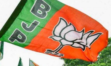 आगामी विधानसभा चुनावों के लिए भाजपा ‘पूरी तरह’ तैयार, विजयी होकर निकलेगा: बैजयंत पांडा