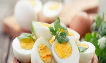 खासकर सर्दियों में उबले अंडे आपके शरीर के लिए क्यों जरूरी हैं?