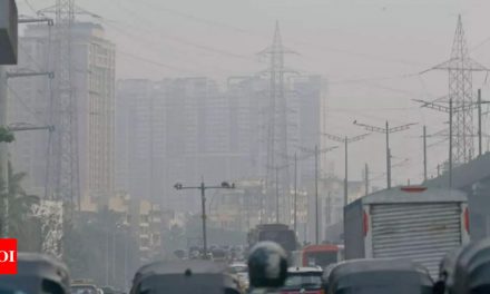 घना कोहरा छा गया शहर |  मुंबई समाचार – टाइम्स ऑफ इंडिया