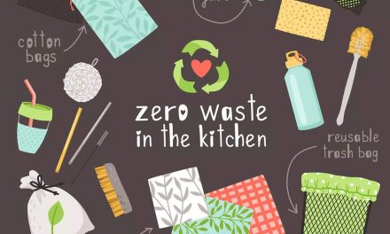व्यस्त लोगों के लिए रसोई में शून्य कचरा सुनिश्चित करने के आसान उपाय |  द टाइम्स ऑफ़ इण्डिया