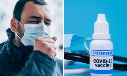 कोरोनावायरस ओमिक्रॉन वेरिएंट वैक्सीन: क्या नाक के टीके COVID के ओमाइक्रोन वेरिएंट के खिलाफ कारगर साबित होंगे?