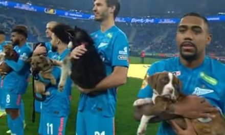 देखें: गोद लेने को बढ़ावा देने के लिए फुटबॉल खिलाड़ी बेघर पिल्लों को पकड़ने के लिए स्टेडियम में चले गए
