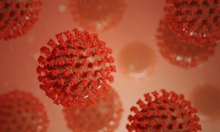 क्या NeoCov कोरोनावायरस का सबसे घातक स्ट्रेन है?  सभी प्रकार के बारे में, और यह खबरों में क्यों है