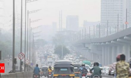 मुंबई में एक दशक में सबसे खराब वायु गुणवत्ता दर्ज |  मुंबई समाचार – टाइम्स ऑफ इंडिया