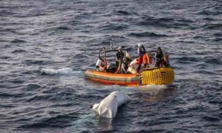 झारखंड के जामताड़ा में नाव पलटने से 16 लापता, बचाव कार्य जारी
