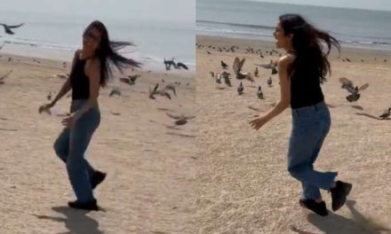 शहनाज गिल ने समुद्र तट पर मस्ती भरा वीडियो शेयर किया;  कहते हैं ‘काश मैं उड़ पाता…’