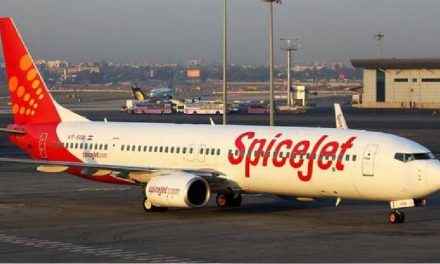 SpiceJet to launch 60 new domestic flights this summer, details here