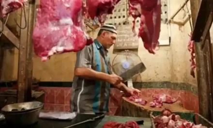 Navratra: Ghaziabad residents can’t buy meat for 9 days, mayor orders