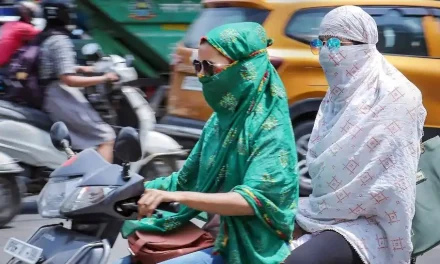 अत्यधिक गर्मी के कारण स्वास्थ्य संबंधी समस्याएं – भारत के सबसे खराब हीटवेव वर्षों पर एक नज़र