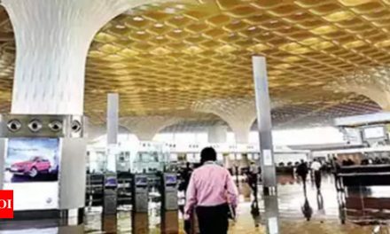 मुंबई हवाईअड्डे को घरेलू झगड़े जोड़ने वाले यात्रियों के लिए समर्पित स्थानांतरण सुविधा मिलती है |  मुंबई समाचार – टाइम्स ऑफ इंडिया