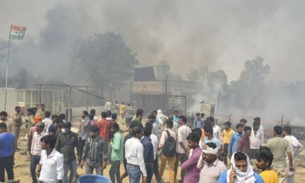गाजियाबाद में भीषण आग में 20 गायों की जलकर मौत