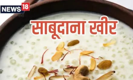 साबूदाना खीर रेसिपी: इस नवरात्रि व्रत में ट्राई करें ये स्वादिष्ट, सेहतमंद हलवा