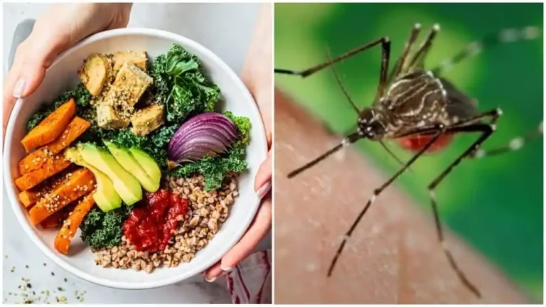 Dengue: What to eat and what to avoid, diet plan to follow for faster recovery