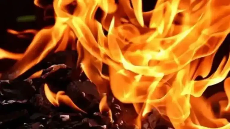 दिल्ली: झंडेवालान साइकिल बाजार में भीषण आग