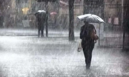 मानसून 6 जुलाई तक पूरे भारत को कवर करेगा, आईएमडी इन राज्यों में बारिश की भविष्यवाणी करता है