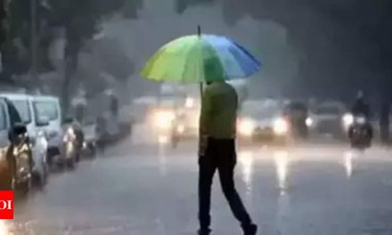 उल्हासनगर में भारी बारिश से कई हिस्सों में जलजमाव |  ठाणे समाचार – टाइम्स ऑफ इंडिया