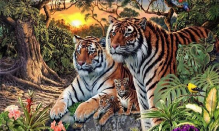 ऑप्टिकल इल्यूजन: इस छवि में 16 बाघ हैं;  क्या आप उन सबको खोज सकते हैं?  |  द टाइम्स ऑफ़ इण्डिया.
