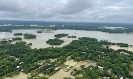 असम बाढ़: वायुसेना ने प्रभावित इलाकों में 96 टन राहत सामग्री पहुंचाई |  घड़ी