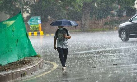 दिल्ली: राष्ट्रीय राजधानी के कुछ हिस्सों में भारी बारिश
