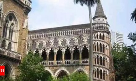 एनआईआरएफ रैंकिंग: आईआईटी-बॉम्बे ने अपना तीसरा स्थान बरकरार रखा, शीर्ष 50 विश्वविद्यालयों में मुंबई विश्वविद्यालय |  मुंबई समाचार – टाइम्स ऑफ इंडिया