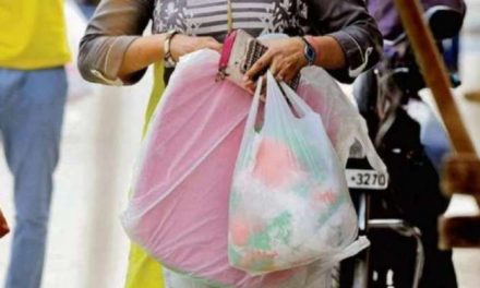 भारत में सिंगल-यूज प्लास्टिक प्रतिबंधित: खादी बैग से लेकर बांस के तिनके तक, जानिए बेस्ट इको-फ्रेंडली विकल्प