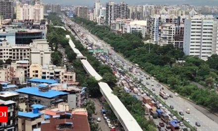 नवी मुंबई: लंबे वीकेंड के कारण सायन-पनवेल हाईवे और ई-वे पर भारी ट्रैफिक जाम |  नवी मुंबई समाचार – टाइम्स ऑफ इंडिया